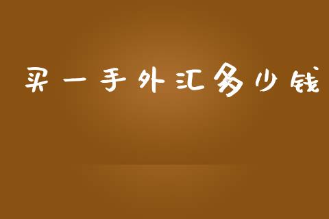 买一手外汇多少钱_https://www.gongyisiwang.com_焦炭期货手续费_第1张