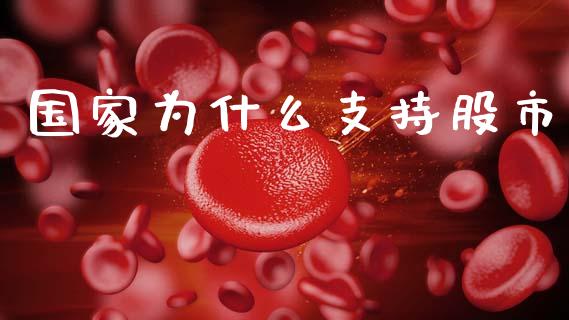 国家为什么支持股市_https://www.gongyisiwang.com_期货公司手续费排名_第1张