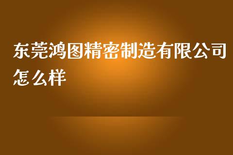 东莞鸿图精密制造有限公司怎么样_https://www.gongyisiwang.com_焦炭期货手续费_第1张