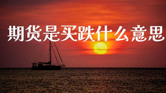 期货是买跌什么意思_https://www.gongyisiwang.com_道指_第1张