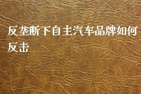 反垄断下自主汽车品牌如何反击_https://www.gongyisiwang.com_道指_第1张