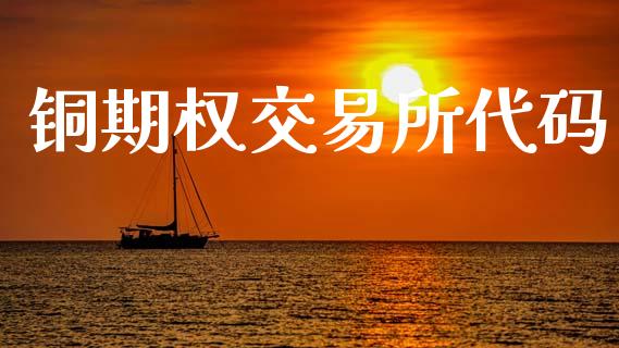 铜期权交易所代码_https://www.gongyisiwang.com_期货公司手续费排名_第1张