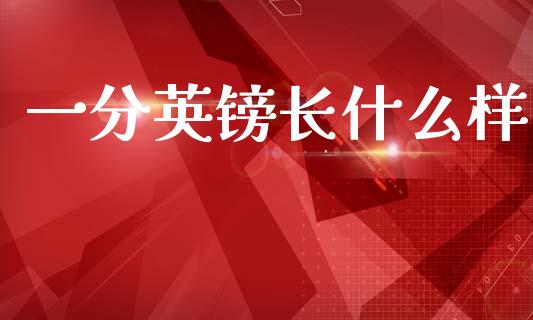 一分英镑长什么样_https://www.gongyisiwang.com_广发期货手续费_第1张