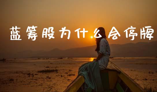 蓝筹股为什么会停牌_https://www.gongyisiwang.com_股指期货交易手续费_第1张