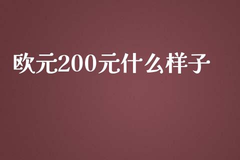 欧元200元什么样子_https://www.gongyisiwang.com_恒指期货_第1张