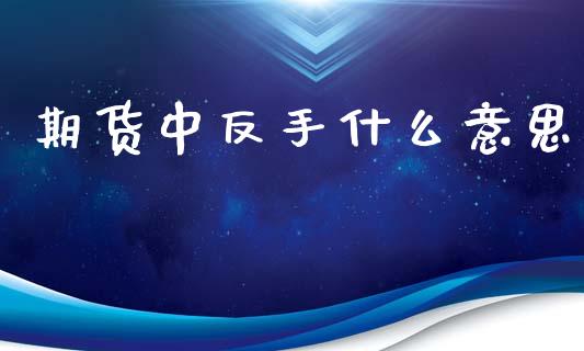 期货中反手什么意思_https://www.gongyisiwang.com_原油期货_第1张