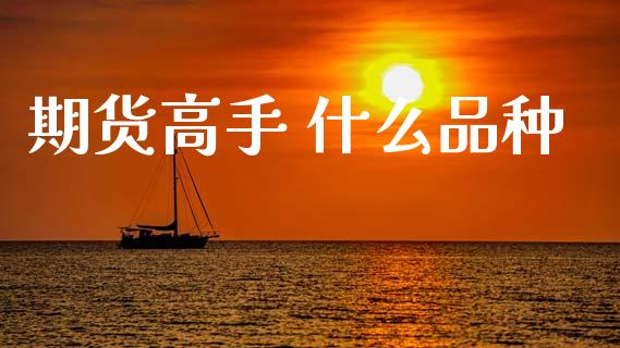 期货高手 什么品种_https://www.gongyisiwang.com_道指_第1张