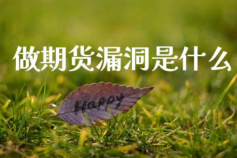 做期货漏洞是什么_https://www.gongyisiwang.com_焦炭期货手续费_第1张