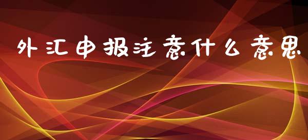 外汇申报注意什么意思_https://www.gongyisiwang.com_广发期货手续费_第1张