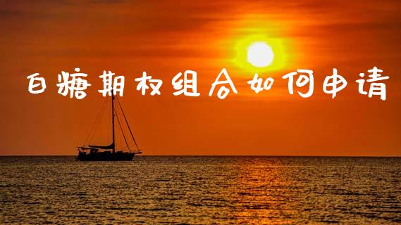 白糖期权组合如何申请_https://www.gongyisiwang.com_股指期货_第1张