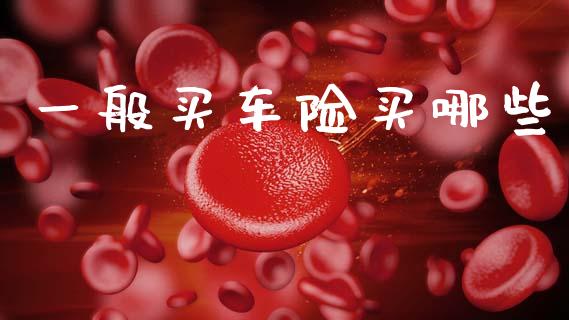 一般买车险买哪些_https://www.gongyisiwang.com_广发期货手续费_第1张