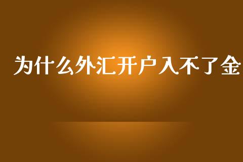 为什么外汇开户入不了金_https://www.gongyisiwang.com_焦炭期货手续费_第1张
