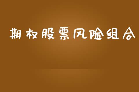 期权股票风险组合_https://www.gongyisiwang.com_原油期货_第1张