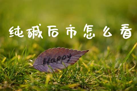 纯碱后市怎么看_https://www.gongyisiwang.com_期货公司手续费排名_第1张