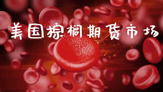 美国棕榈期货市场_https://www.gongyisiwang.com_原油期货_第1张