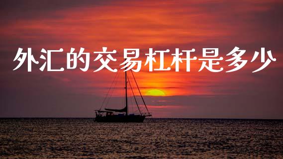 外汇的交易杠杆是多少_https://www.gongyisiwang.com_焦炭期货手续费_第1张