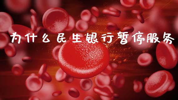 为什么民生银行暂停服务_https://www.gongyisiwang.com_股指期货_第1张