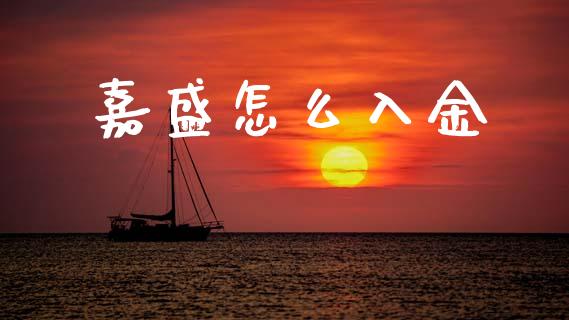 嘉盛怎么入金_https://www.gongyisiwang.com_股指期货_第1张
