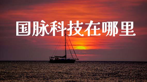 国脉科技在哪里_https://www.gongyisiwang.com_股指期货交易手续费_第1张