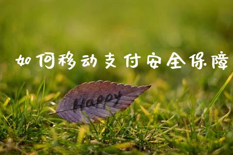 如何移动支付安全保障_https://www.gongyisiwang.com_股指期货_第1张