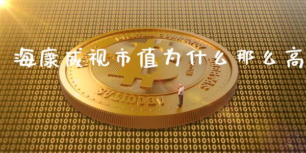 海康威视市值为什么那么高_https://www.gongyisiwang.com_股指期货交易手续费_第1张