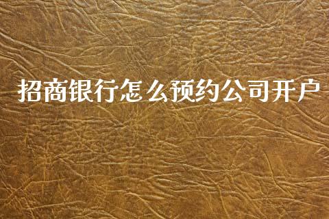 招商银行怎么预约公司开户_https://www.gongyisiwang.com_道指_第1张