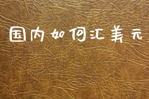 国内如何汇美元_https://www.gongyisiwang.com_股指期货_第1张