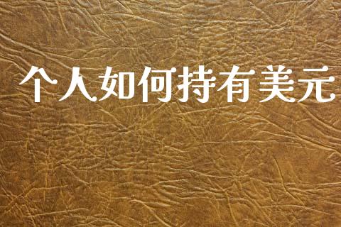 个人如何持有美元_https://www.gongyisiwang.com_原油期货_第1张