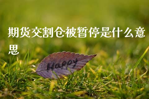 期货交割仓被暂停是什么意思_https://www.gongyisiwang.com_道指_第1张