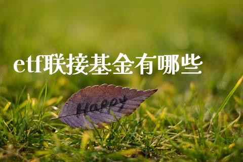 etf联接基金有哪些_https://www.gongyisiwang.com_焦炭期货手续费_第1张