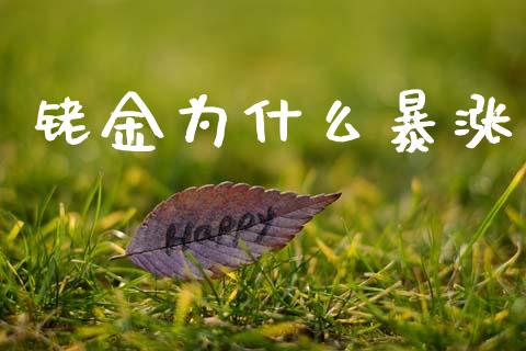 铑金为什么暴涨_https://www.gongyisiwang.com_恒指期货_第1张