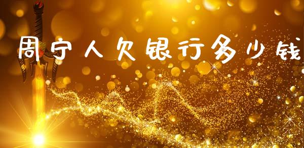 周宁人欠银行多少钱_https://www.gongyisiwang.com_道指_第1张