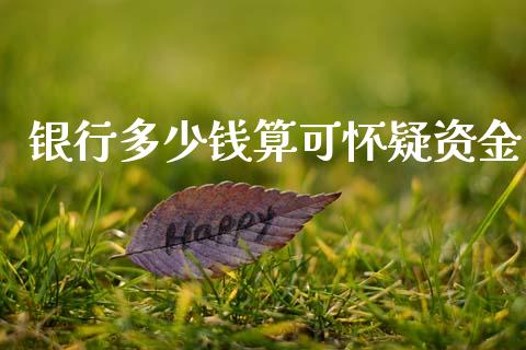 银行多少钱算可怀疑资金_https://www.gongyisiwang.com_焦炭期货手续费_第1张