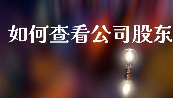 如何查看公司股东_https://www.gongyisiwang.com_期货公司手续费排名_第1张