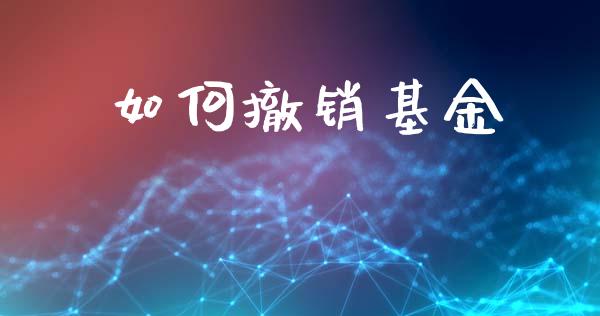 如何撤销基金_https://www.gongyisiwang.com_原油期货_第1张