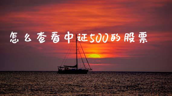 怎么查看中证500的股票_https://www.gongyisiwang.com_股指期货交易手续费_第1张
