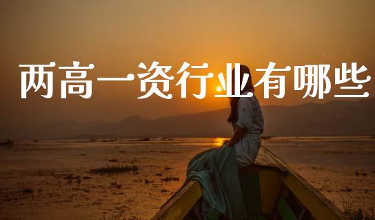 两高一资行业有哪些_https://www.gongyisiwang.com_焦炭期货手续费_第1张