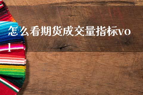 怎么看期货成交量指标vol_https://www.gongyisiwang.com_恒指期货_第1张