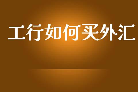 工行如何买外汇_https://www.gongyisiwang.com_焦炭期货手续费_第1张