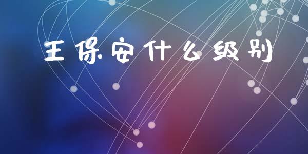王保安什么级别_https://www.gongyisiwang.com_焦炭期货手续费_第1张