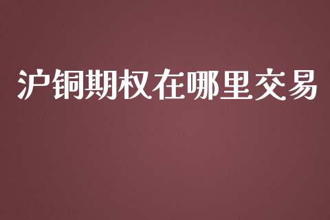 沪铜期权在哪里交易_https://www.gongyisiwang.com_焦炭期货手续费_第1张