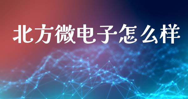 北方微电子怎么样_https://www.gongyisiwang.com_原油期货_第1张
