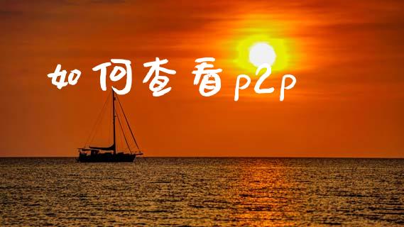 如何查看p2p_https://www.gongyisiwang.com_股指期货交易手续费_第1张