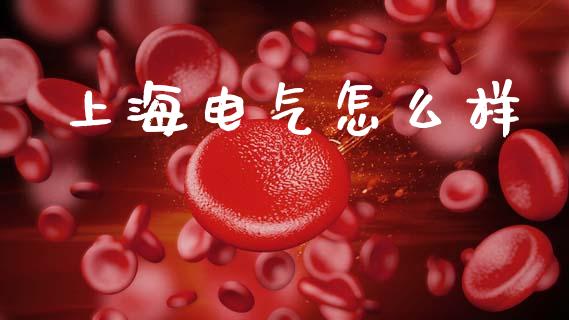 上海电气怎么样_https://www.gongyisiwang.com_恒指期货_第1张