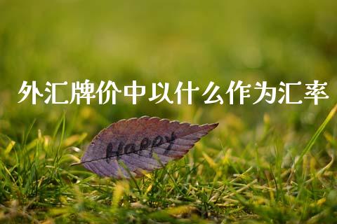 外汇牌价中以什么作为汇率_https://www.gongyisiwang.com_焦炭期货手续费_第1张