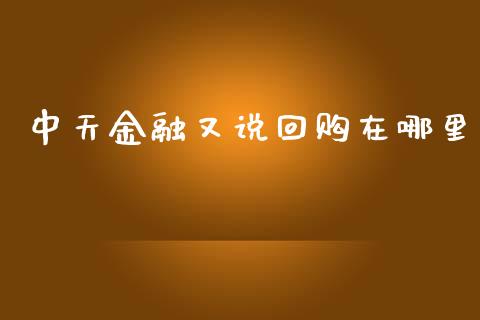 中天金融又说回购在哪里_https://www.gongyisiwang.com_焦炭期货手续费_第1张