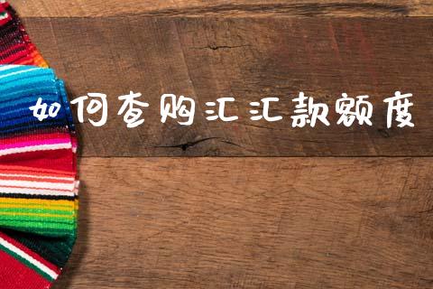 如何查购汇汇款额度_https://www.gongyisiwang.com_焦炭期货手续费_第1张