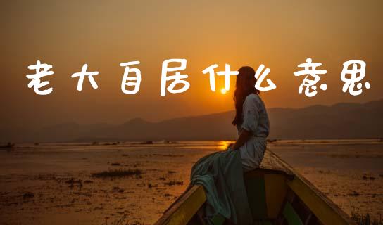 老大自居什么意思_https://www.gongyisiwang.com_股指期货交易手续费_第1张