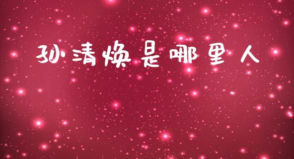 孙清焕是哪里人_https://www.gongyisiwang.com_期货公司手续费排名_第1张