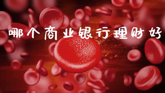 哪个商业银行理财好_https://www.gongyisiwang.com_股指期货交易手续费_第1张